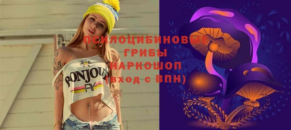 крисы Михайловск