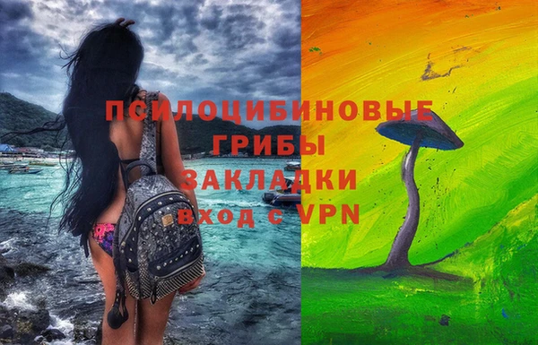 крисы Михайловск