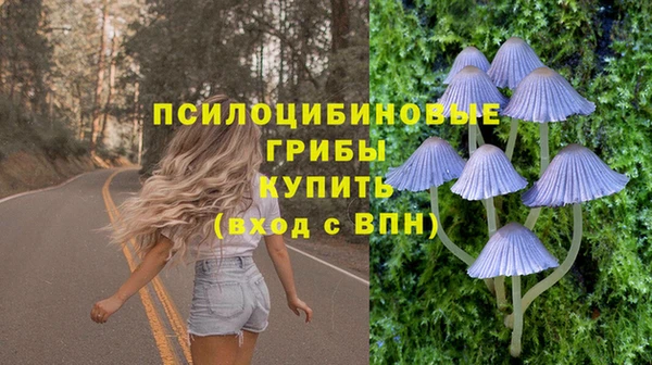 прущие грибы Беслан