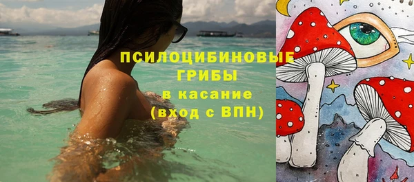 экстази Михайлов