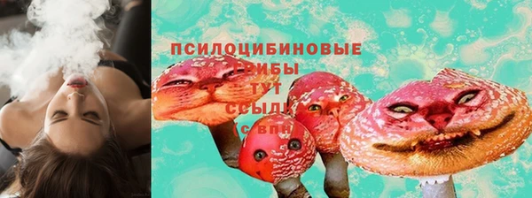 крисы Михайловск