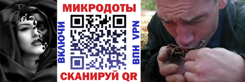где продают наркотики  Иннополис  Псилоцибиновые грибы мицелий 